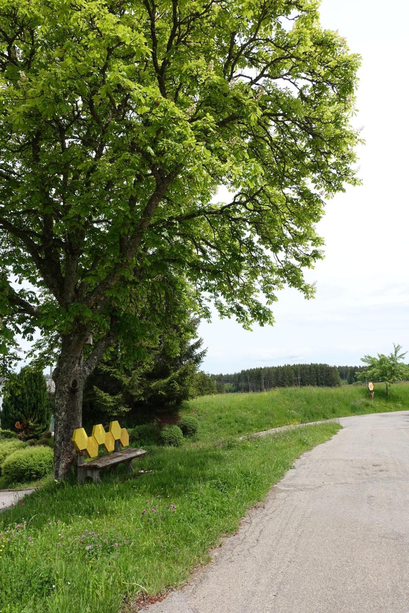 Blick In Den Garten Holzschlag Экстерьер фото